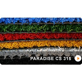Paradise CS 315